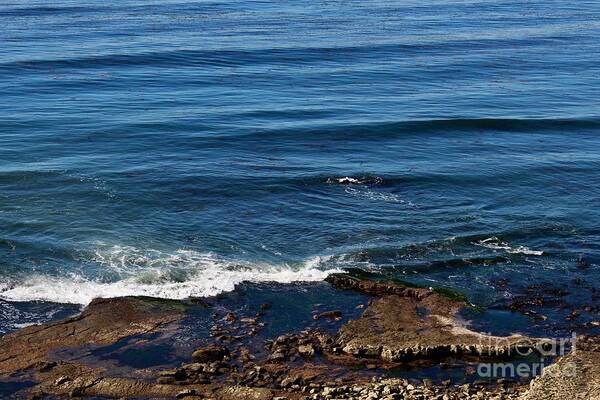 Palos Verdes Art Print featuring the photograph Water, Waves and Rocks From Above by Katherine Erickson