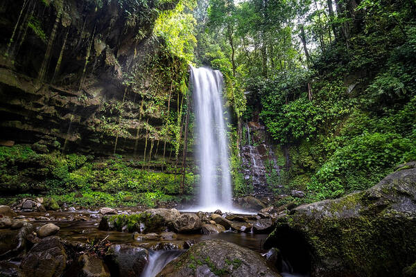 Tropical Rainforest Art Print featuring the photograph Waterfall in Green Forest, Mahua Tambunan. by Constantine Johnny