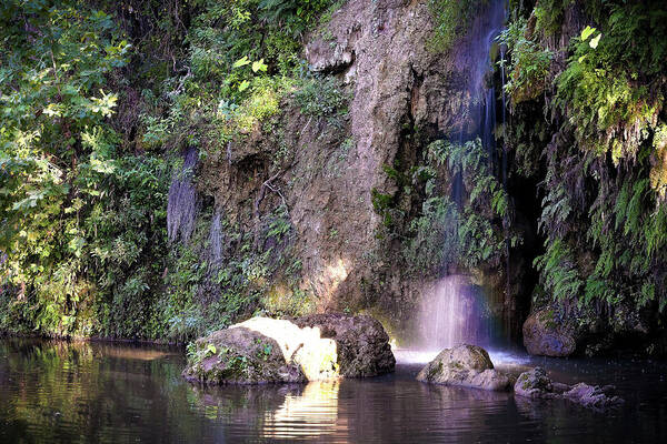 Waterfall Art Print featuring the photograph Waterfall in the Heart of Texas by Cheri Freeman