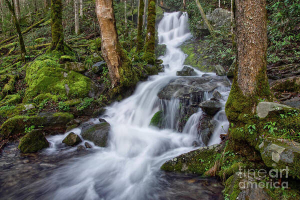 Middle Prong Trail Art Print featuring the photograph Waterfall In The Smokies 7 by Phil Perkins