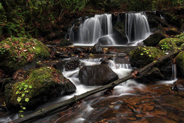 Abbotsford Art Print featuring the photograph Waterfall on Poignant Creek by Michael Russell