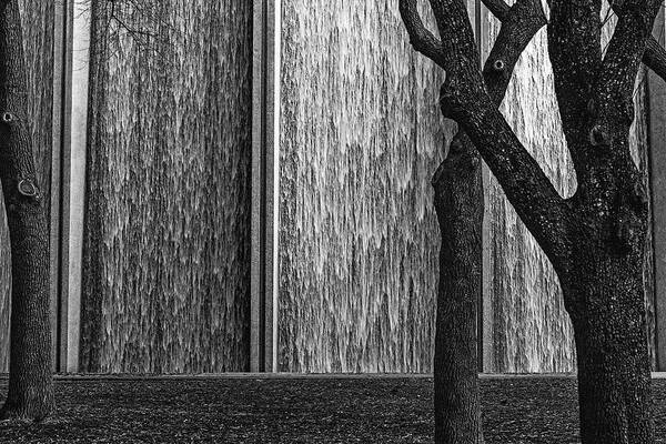 Waterwall Art Print featuring the photograph Waterwall Amidst The Trees by Mike Schaffner