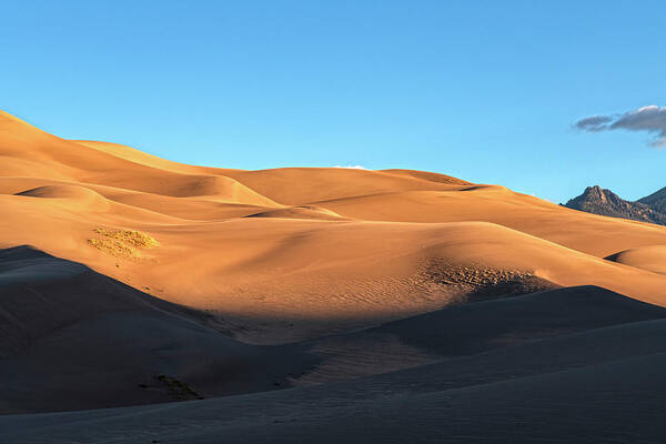 Great Sand Dunes National Park Art Print featuring the photograph Waves Of Morning Light by Angelo Marcialis