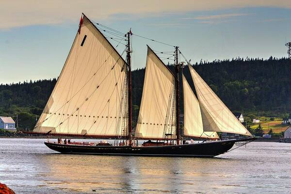 The Bluenose Ll Out Of Lunenberg Nova Scotia En Route To Digby Nova Scotia Via Petit Passage Bay Of Fundy Sea Oceans Ships Sail Land Water Clipper Art Print featuring the photograph We are sailing by David Matthews