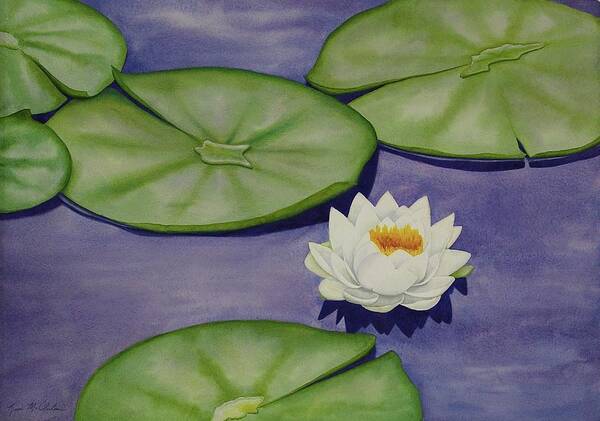 Kim Mcclinton Art Print featuring the painting White Lotus and Lily Pad Pond by Kim McClinton