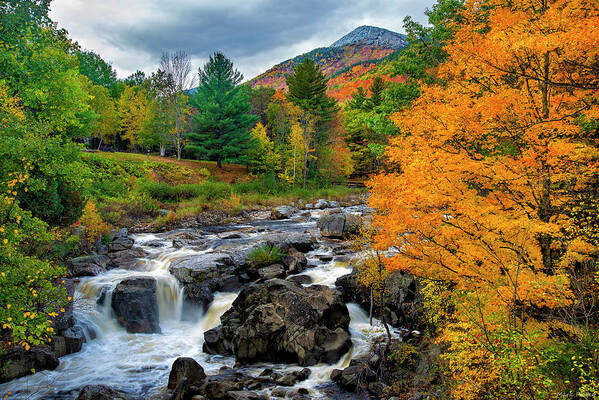 Whiteface Mountain And The Ausable River Art Print featuring the photograph Whiteface Mountain And The Ausable River by Mark Papke