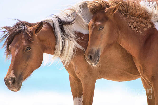 Ocean Breeze Art Print featuring the photograph Wild Horses - By the sea by Rehna George