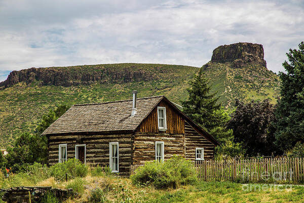 Colorado Art Print featuring the photograph Wild Wild West by Erin Marie Davis