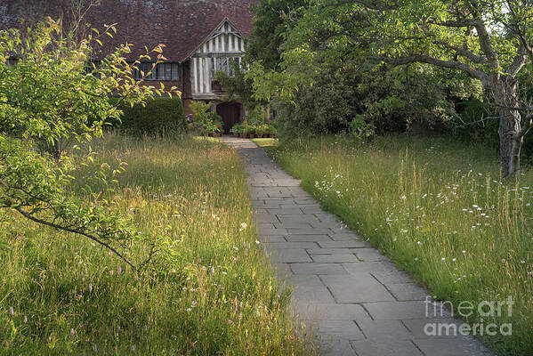 Wildflower Art Print featuring the photograph Wildflower meadow, Great Dixter House and Gardens by Perry Rodriguez