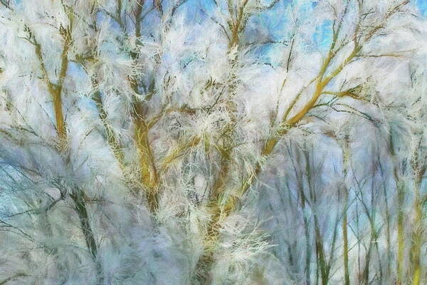 Winter Art Print featuring the digital art Winter Branches by Russ Harris