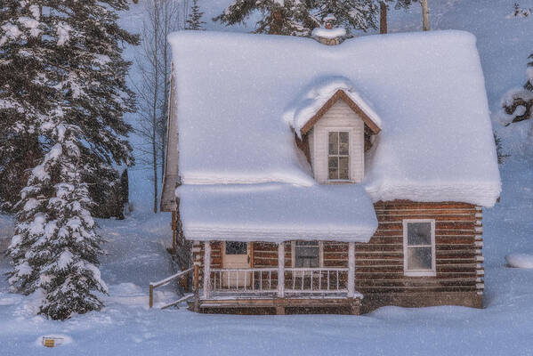 Aspen Art Print featuring the photograph Winter Cabin by Darren White