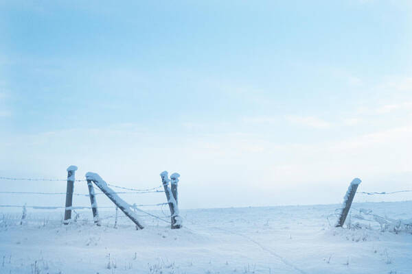 Winter Art Print featuring the photograph Winter Fence by Karen Rispin