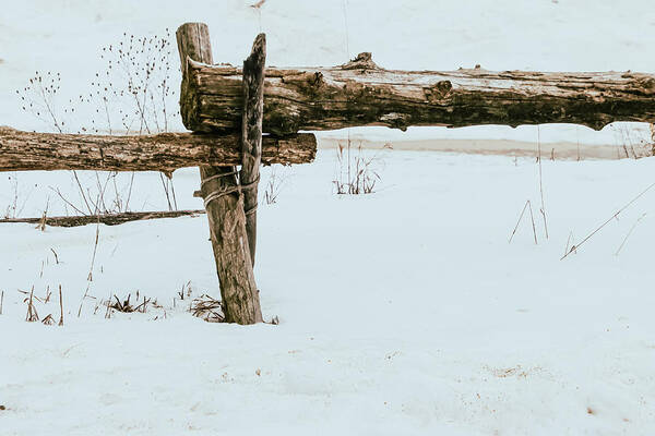  Art Print featuring the photograph Winter Fence by Windshield Photography