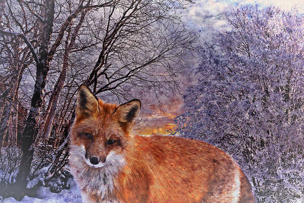 Fox Art Print featuring the photograph Winter Fox by Ally White