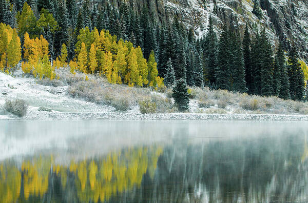 Winter Art Print featuring the photograph Winter Fresh Fall by Wesley Aston