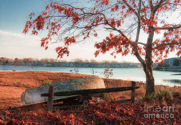 Nature Art Print featuring the photograph Winter Peace by Sharon Mayhak