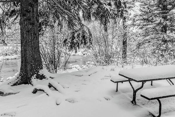 Bench Art Print featuring the photograph Picnic Table in Snow by Tom Potter