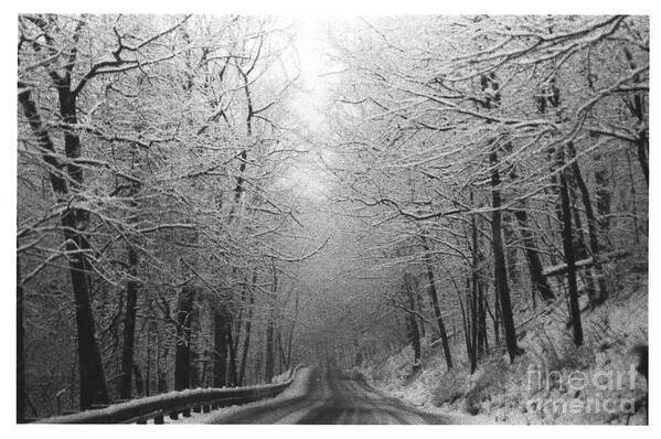 Winter Art Print featuring the photograph Winter Rt 528 by Mary Kobet