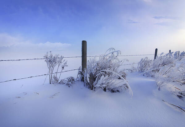 Winter Art Print featuring the photograph Winter Still Life by Dan Jurak