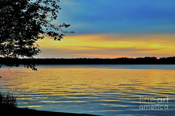Lake Art Print featuring the photograph Evening Lake by Theresa D Williams