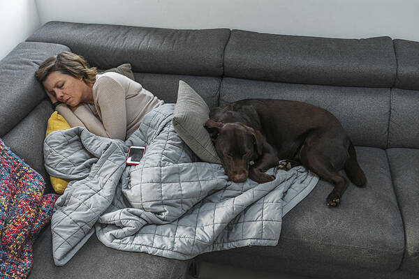 Pets Art Print featuring the photograph Woman asleep on sofa with pet dog by Justin Paget