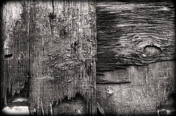 Wood Art Print featuring the photograph Wood Panel by Carrie Hannigan
