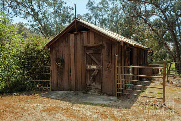 Barn Art Print featuring the photograph Wooden Barn, Bella Vista on Blackwood, Bridgetown, Western Austr by Elaine Teague