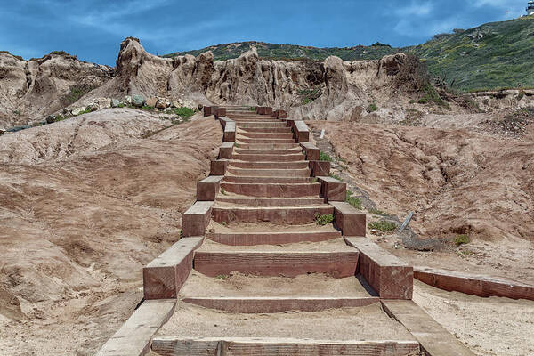 Wood Art Print featuring the photograph Wooden Steps by Alison Frank