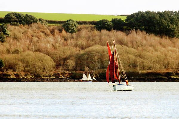 Working Boat Art Print featuring the photograph Yachts in Carrick Roads by Terri Waters