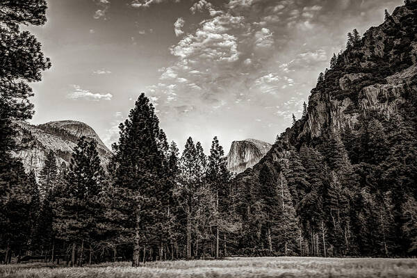 America Art Print featuring the photograph Yosemite Landscape Looking At Half Dome - Sepia by Gregory Ballos