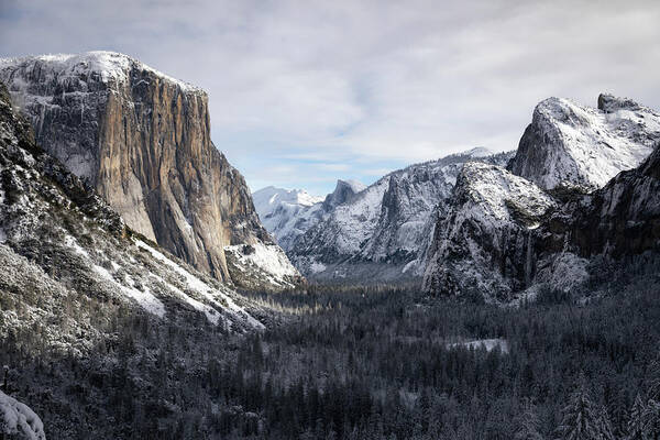 Photography Art Print featuring the photograph Yosemite Valley by Hana McGuffey-Cai