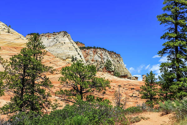 Canyons Art Print featuring the photograph Zion National Park Mountains 1 by Dawn Richards