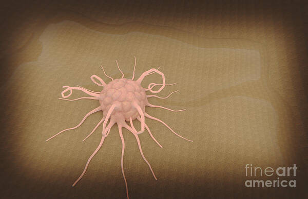Horizontal Art Print featuring the digital art 3d Rendering Of Macrophage Phagocytosis #1 by Stocktrek Images