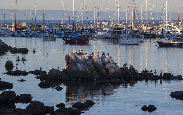 Sunset Art Print featuring the photograph Last Light #1 by Derek Dean