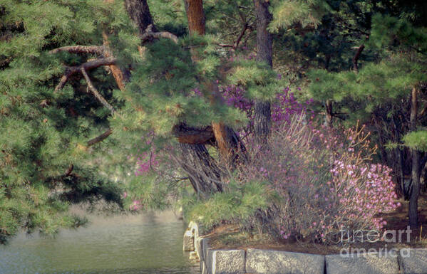 Biwon Garden Art Print featuring the photograph Secret Garden #1 by Carol Weitz