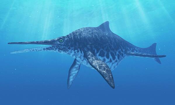 Artwork Art Print featuring the photograph Shonisaurus Marine Reptile #1 by Sciepro/science Photo Library