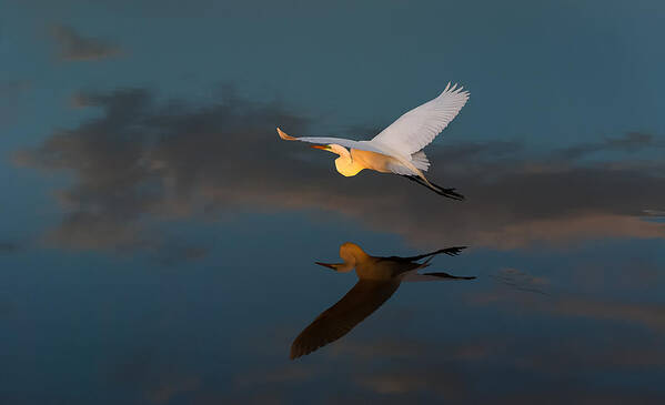 Birds Art Print featuring the photograph Sunset Flight #1 by Bill Martin