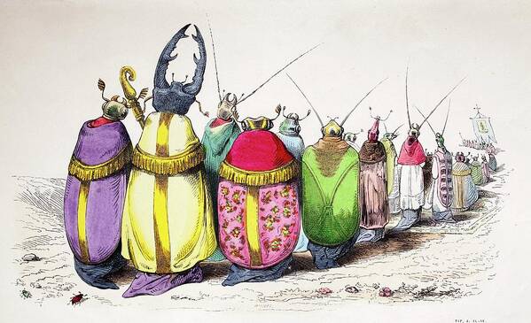Animaux Art Print featuring the photograph 1842 Caricature Coloured Church Beetles by Paul D Stewart
