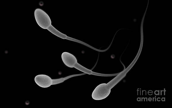 Horizontal Art Print featuring the digital art Conceptual Image Of Male Sperm #2 by Stocktrek Images