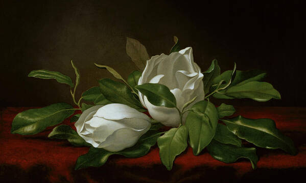 Fowl Art Print featuring the painting Magnolia #1 by Martin Johnson Heade