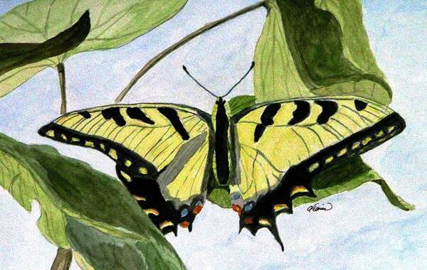 Swallowtail Art Print featuring the painting Male Eastern Tiger Swallowtail by Angela Davies