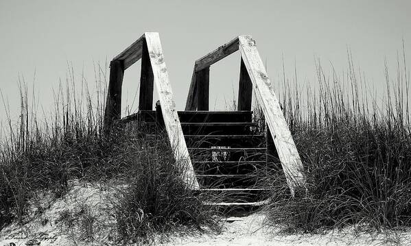 Beach Art Print featuring the photograph Stairway To Heaven by Debra Forand