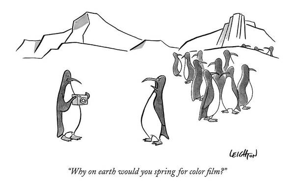 Penguins Talking Problems March Of The Movie 

(one Penguin Talking To Another Holding A Camera.) 121770 Rle Robert Leighton Art Print featuring the drawing Why On Earth Would You Spring For Color Film? by Robert Leighton