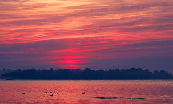 Calm Art Print featuring the photograph A Chesapeake Bay Sunrise by David Kay
