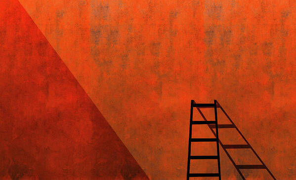 Ladder Art Print featuring the photograph A Ladder And Its Shadow by Inge Schuster
