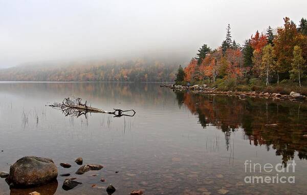 Acadia National Park Art Print featuring the photograph Acadia in the Fog by Karin Pinkham