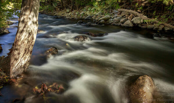 Sedona Art Print featuring the photograph Afternoon at the Stream by Aaron Burrows