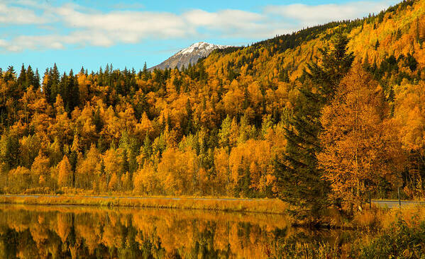 Alaska Art Print featuring the photograph AK Fall by Kevin Dietrich