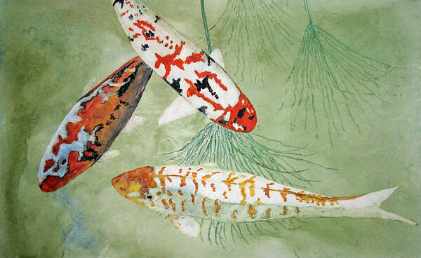 Koi Pond Art Print featuring the painting Balboa Koi by Patricia Beebe