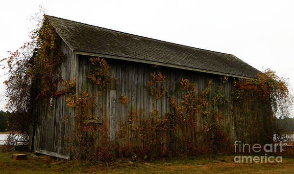 Fall Art Print featuring the photograph Barn 2 by Andrea Anderegg